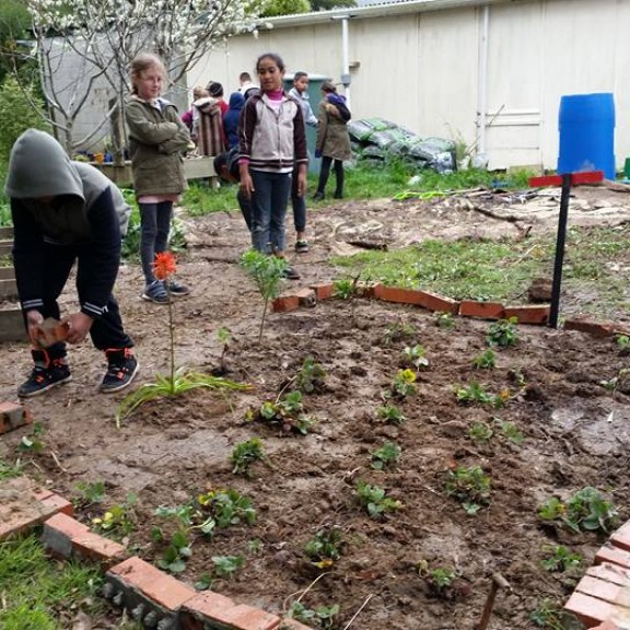 berrygarden2
